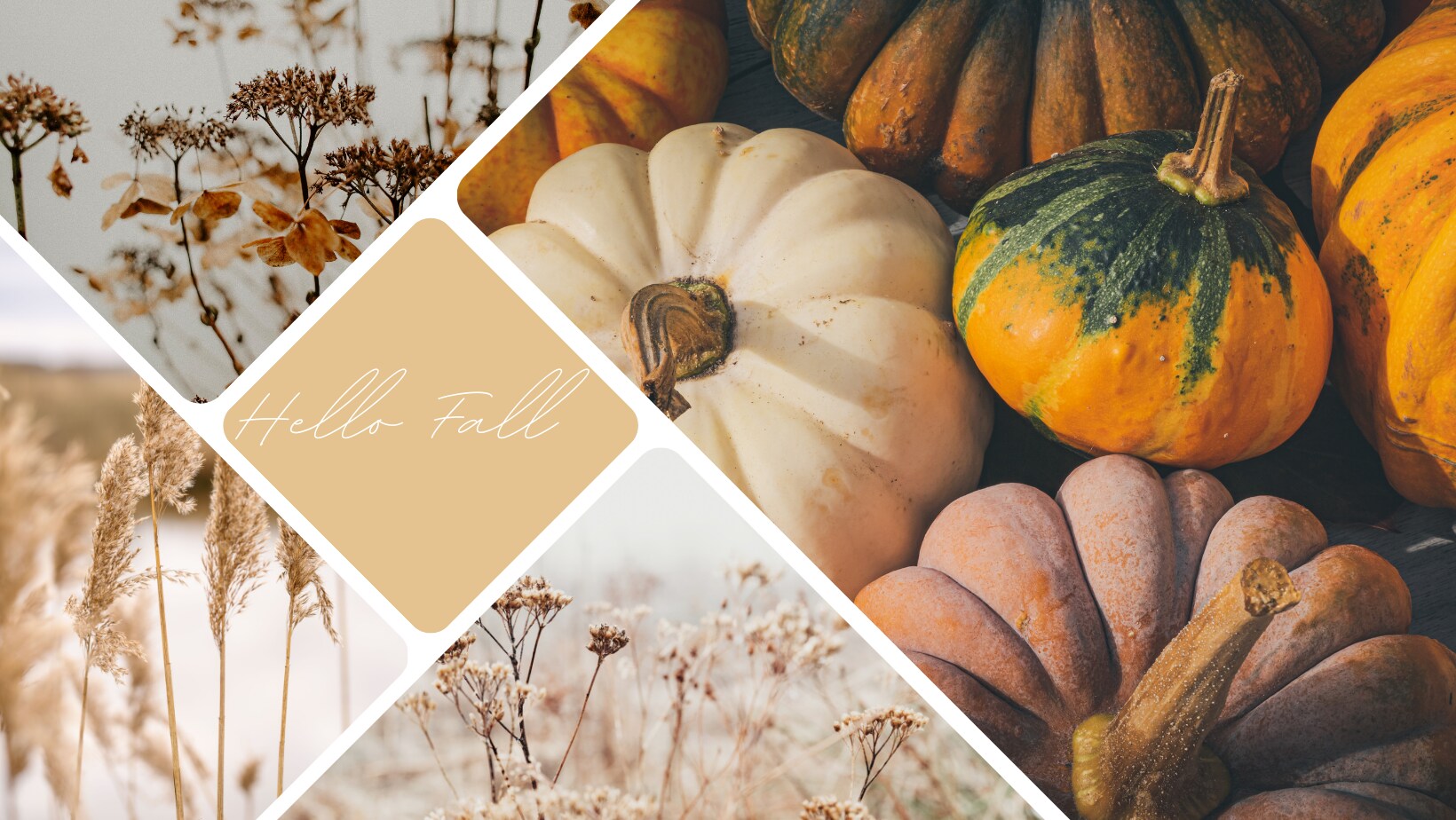 Beautiful Seasonal Flowers Banner